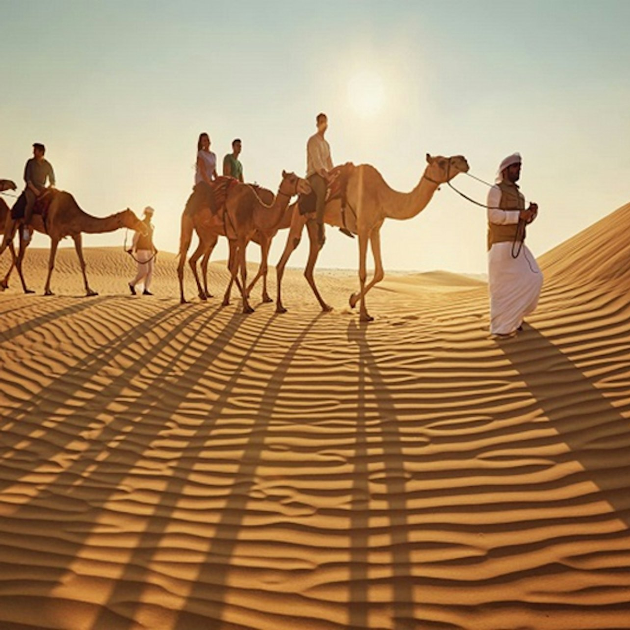 Sunset Desert Safari: Sandboarding & Bab Al Shams Dinner at Al Hadheerah - Photo 1 of 5